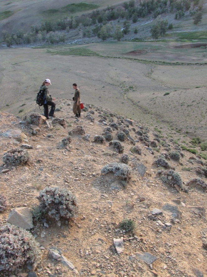 Тыдтуярык, image of landscape/habitat.