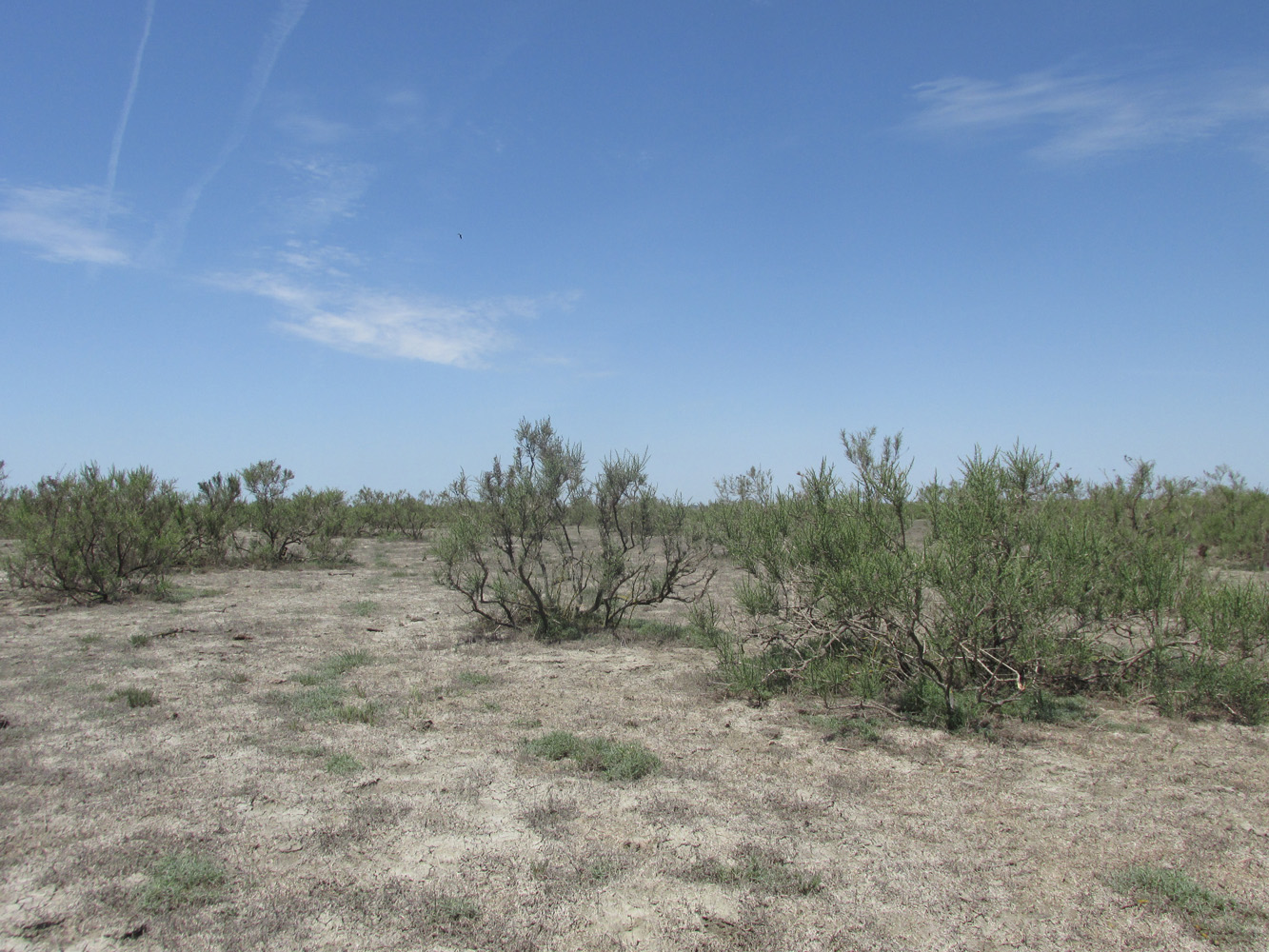 Аграханский залив, image of landscape/habitat.