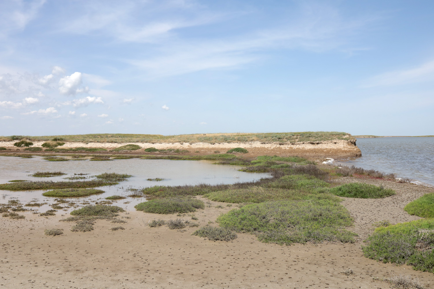 Заказник Присивашский, image of landscape/habitat.