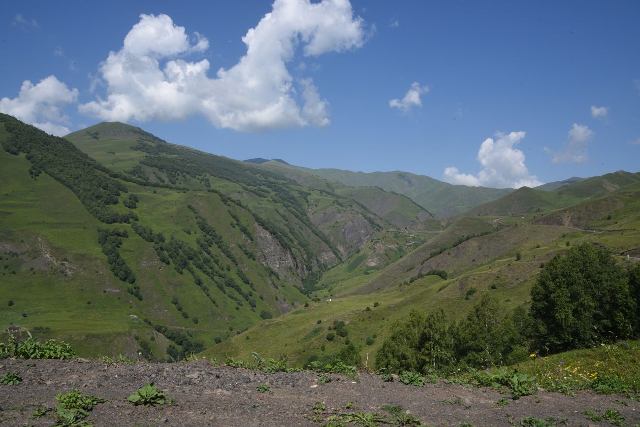Долина реки Шикаройакх, image of landscape/habitat.