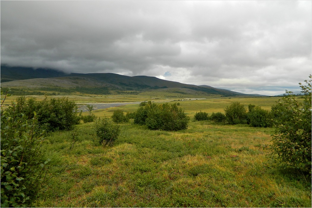 Большой Ханмей, image of landscape/habitat.