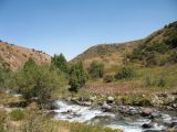 Image of landscape
