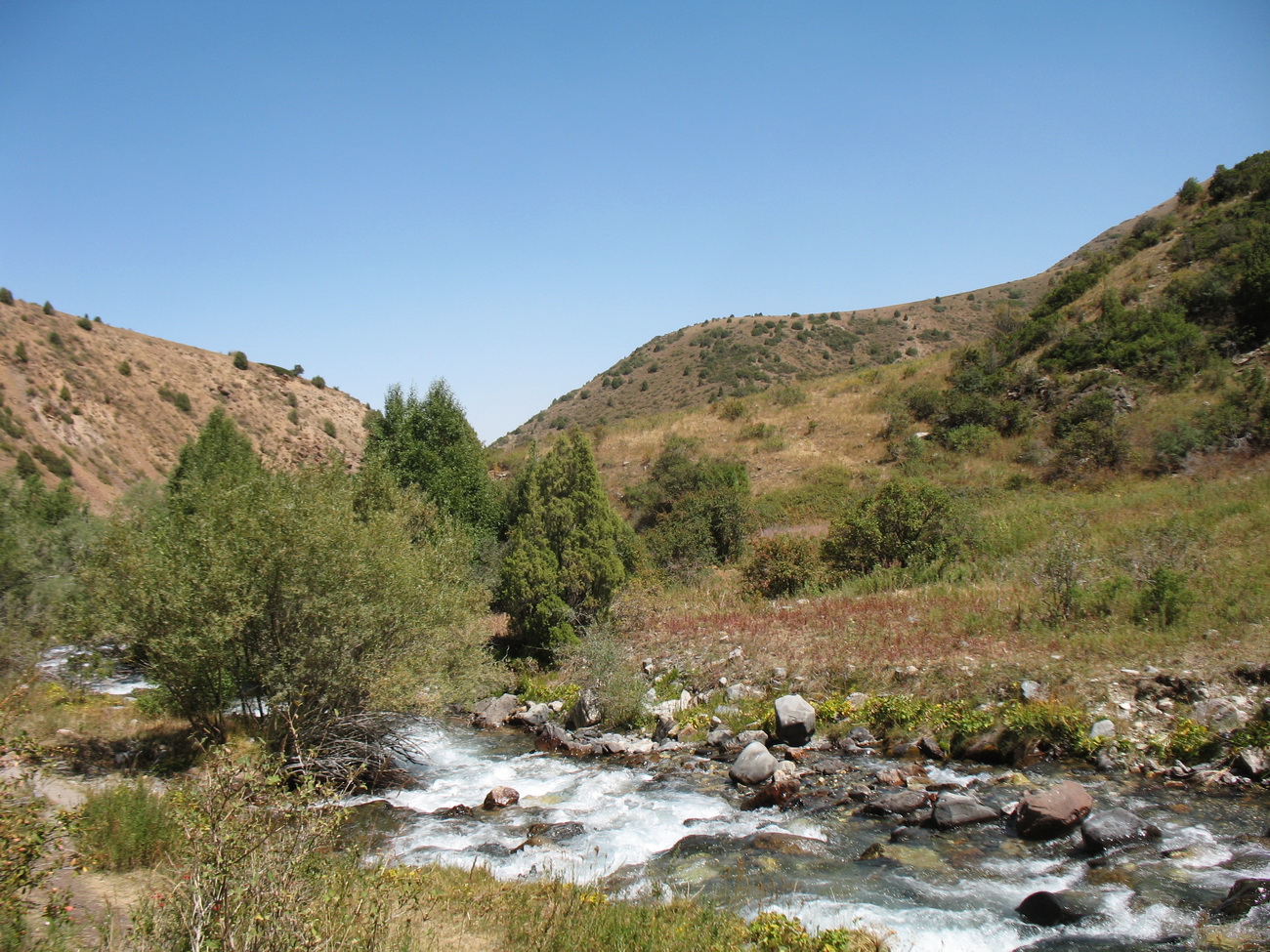 Коксай (нижний пояс), image of landscape/habitat.