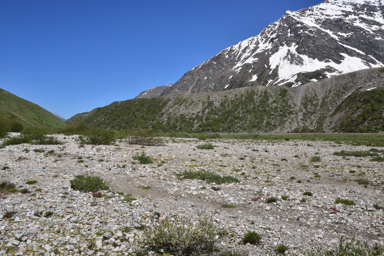 Окрестности озера Донгуз-Орун, изображение ландшафта.