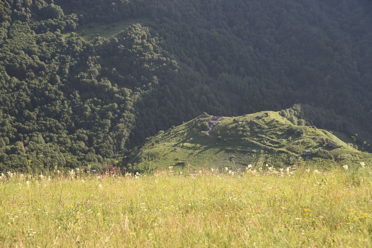 Хутор Хочелдой, image of landscape/habitat.
