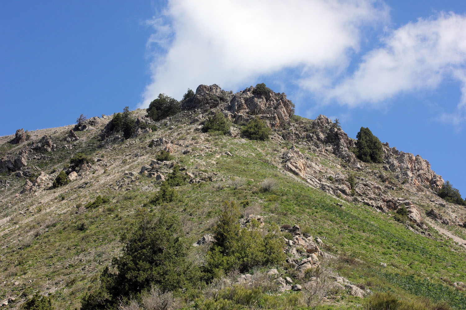 Малый Чимган, image of landscape/habitat.
