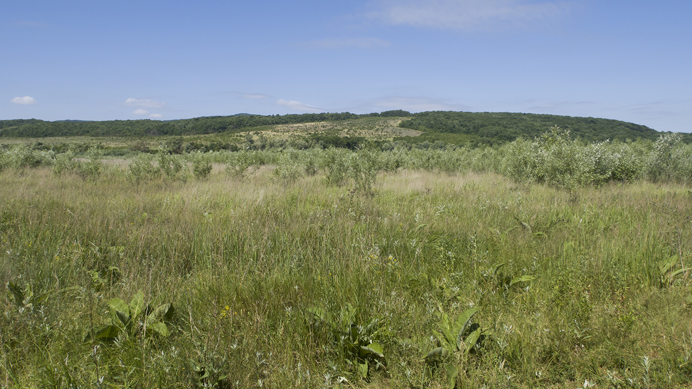 Красный Псебепс, image of landscape/habitat.