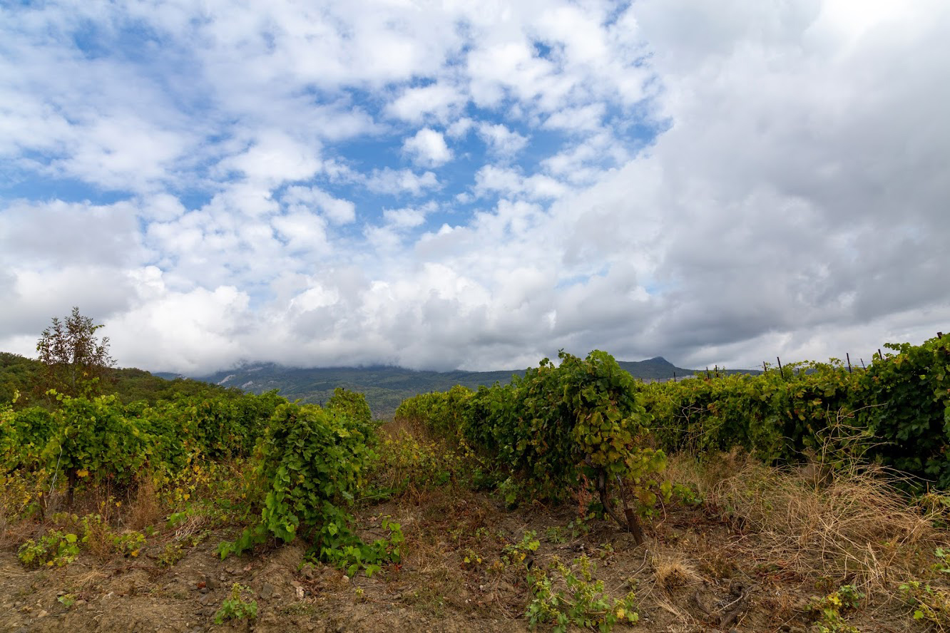 Аюдаг, image of landscape/habitat.