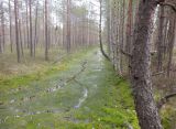 Image of landscape