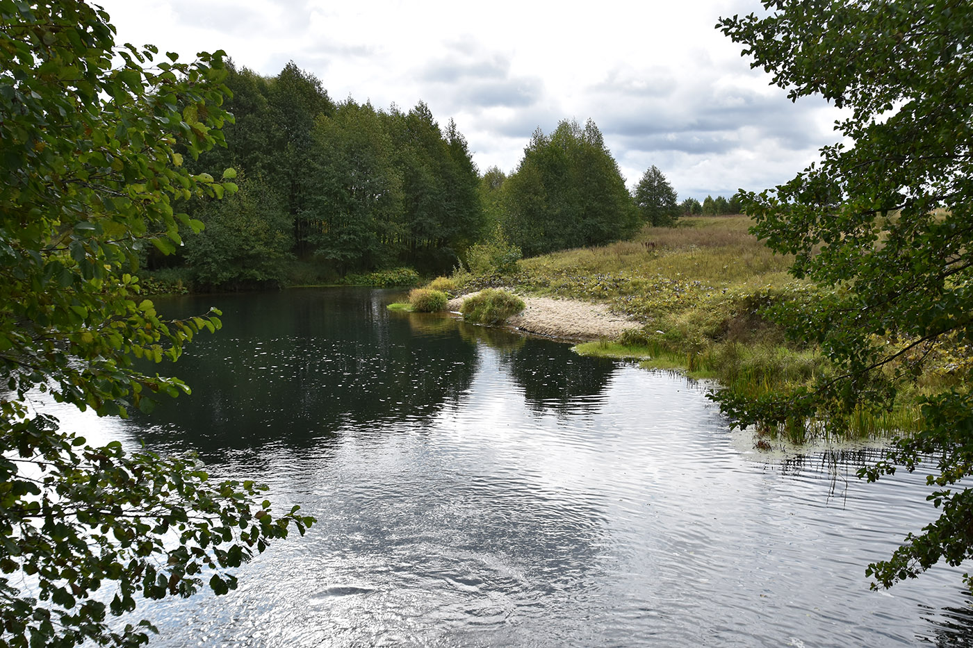 Окрестности села Ельники, image of landscape/habitat.