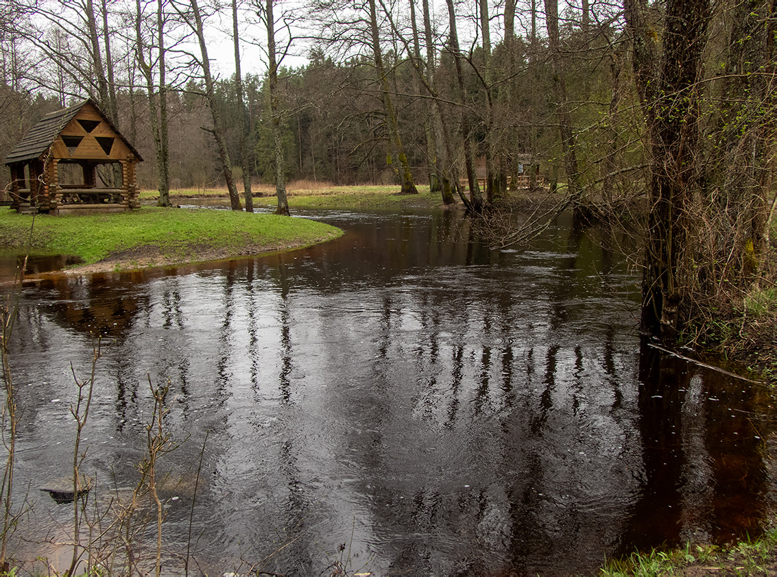 Заказник "Голубые озёра", image of landscape/habitat.