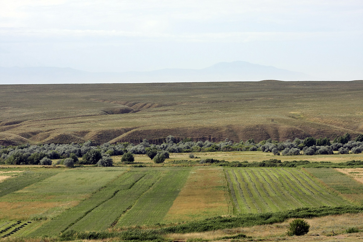 Нижний Боролдай, изображение ландшафта.