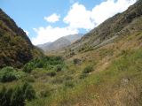 Image of landscape