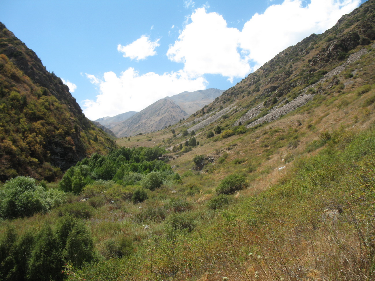 Коксай (нижний пояс), image of landscape/habitat.