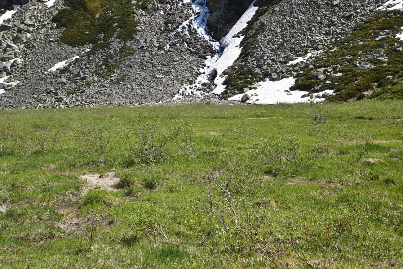 Окрестности озера Донгуз-Орун, изображение ландшафта.