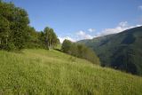 Image of landscape