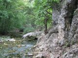 Image of landscape