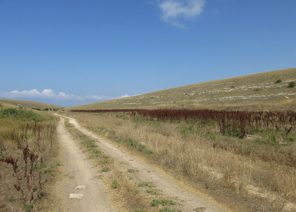 Большой Кастель, image of landscape/habitat.