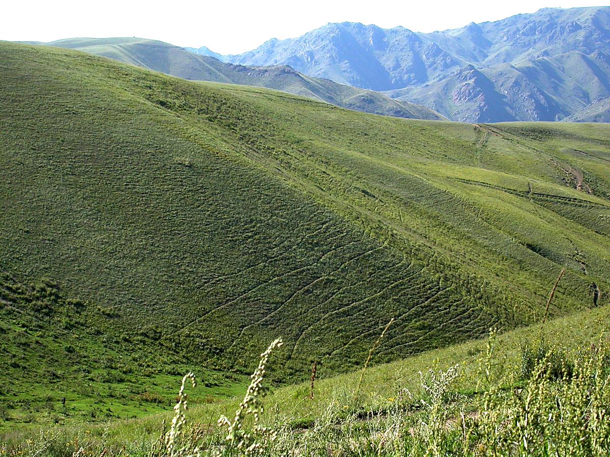 Туюк, image of landscape/habitat.