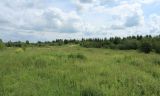 Окрестности Пудости, image of landscape/habitat.