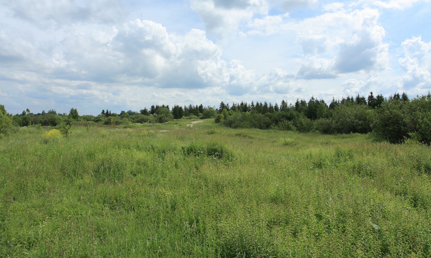 Окрестности Пудости, image of landscape/habitat.