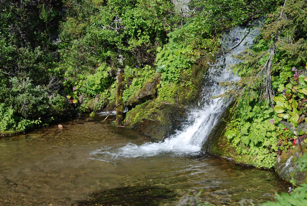 Перевал Снежный, image of landscape/habitat.