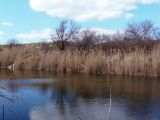 Долина Мокрой Московки, image of landscape/habitat.