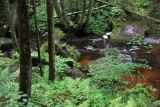 Vyšší Brod a Opatská stezka, image of landscape/habitat.