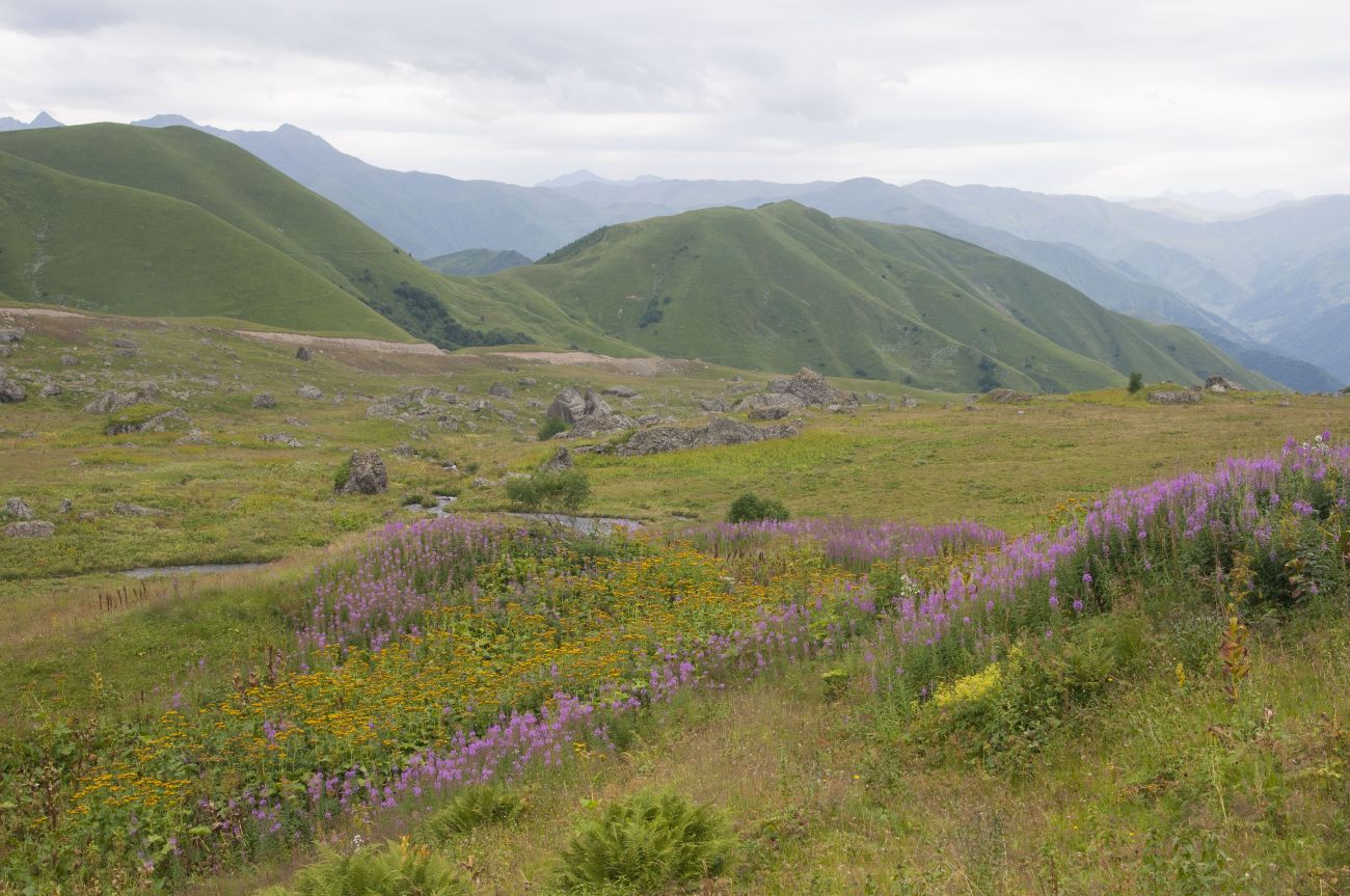 Долина реки Вулелаури, image of landscape/habitat.