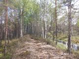 Image of landscape