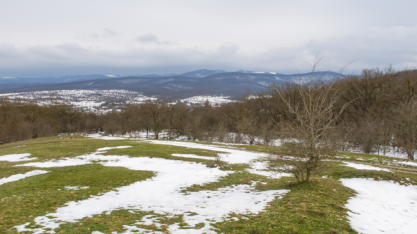 Окрестности Неберджаевской, image of landscape/habitat.