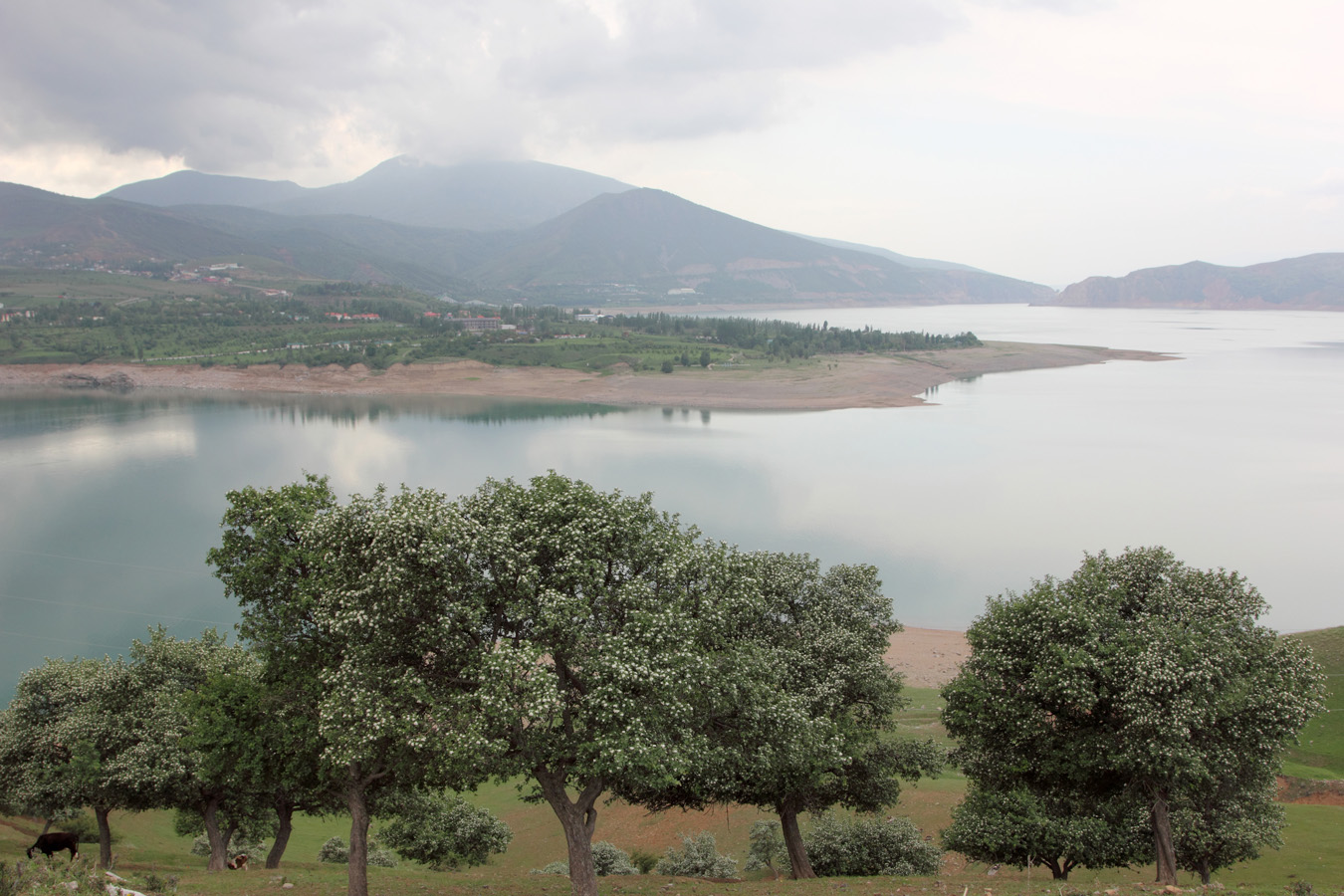 Окр. Чарвакского водохранилища, image of landscape/habitat.