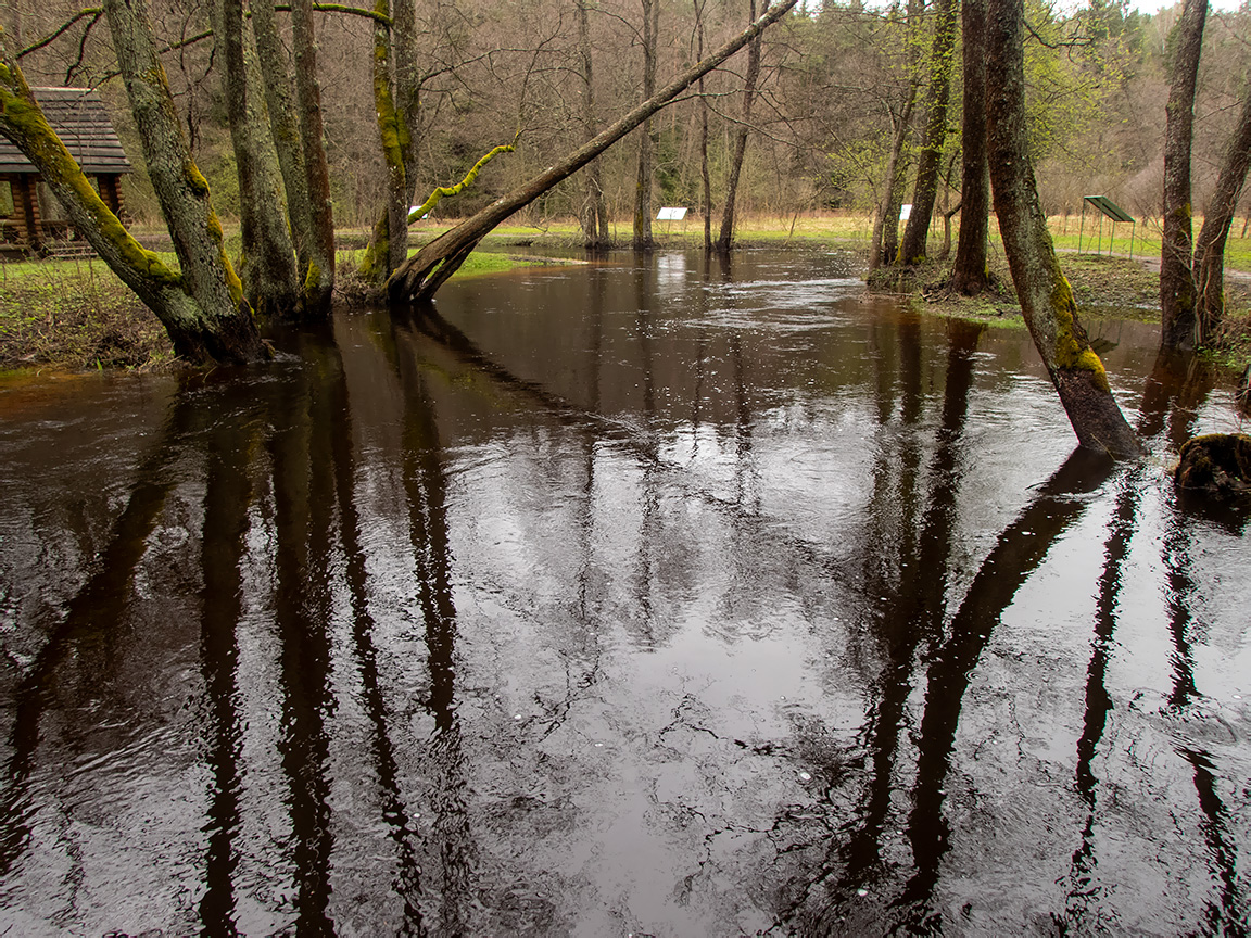 Заказник "Голубые озёра", image of landscape/habitat.