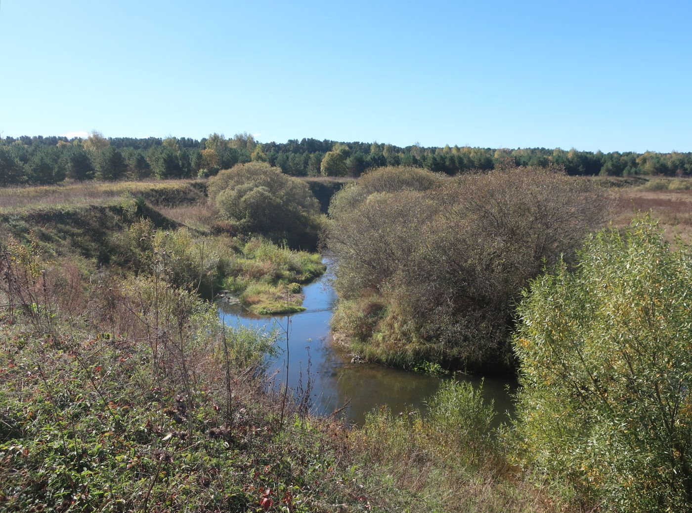 Устье Кавы и Протасово, image of landscape/habitat.