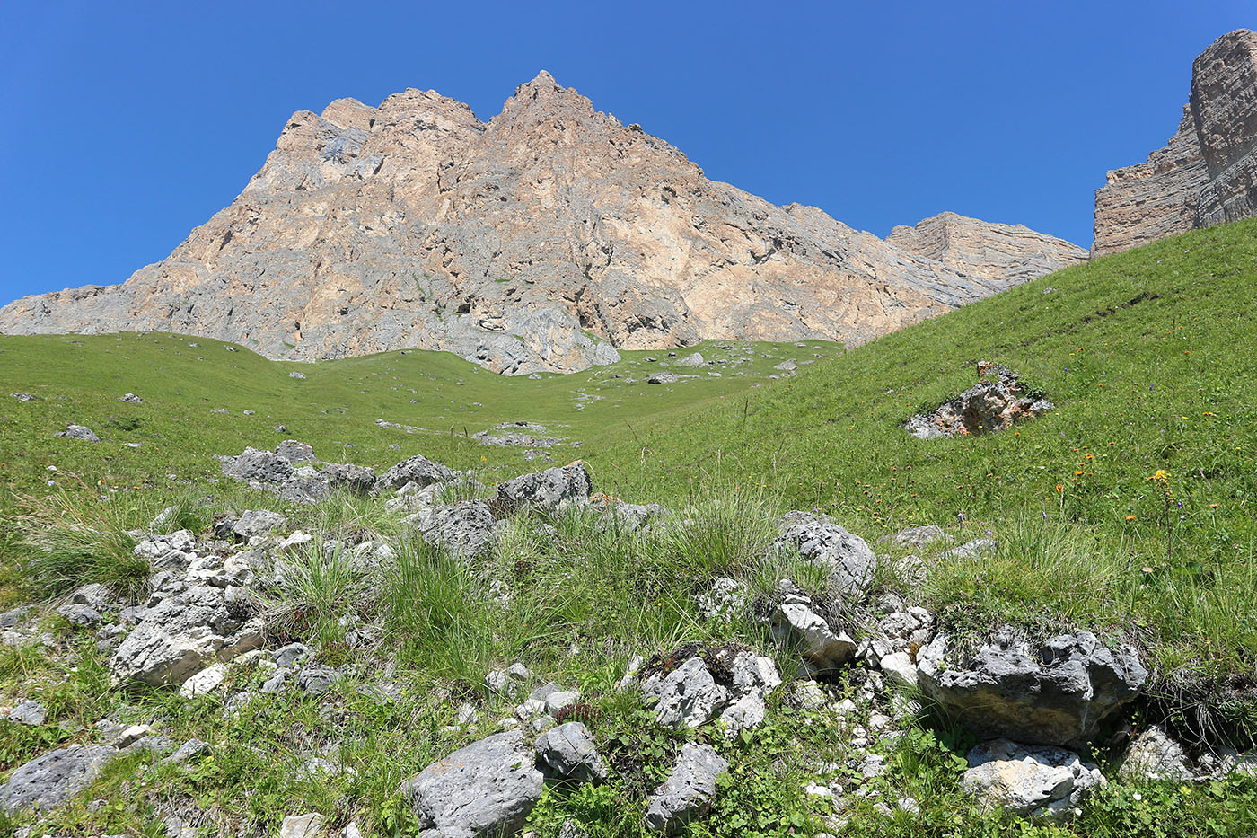 Хазнибаши, image of landscape/habitat.