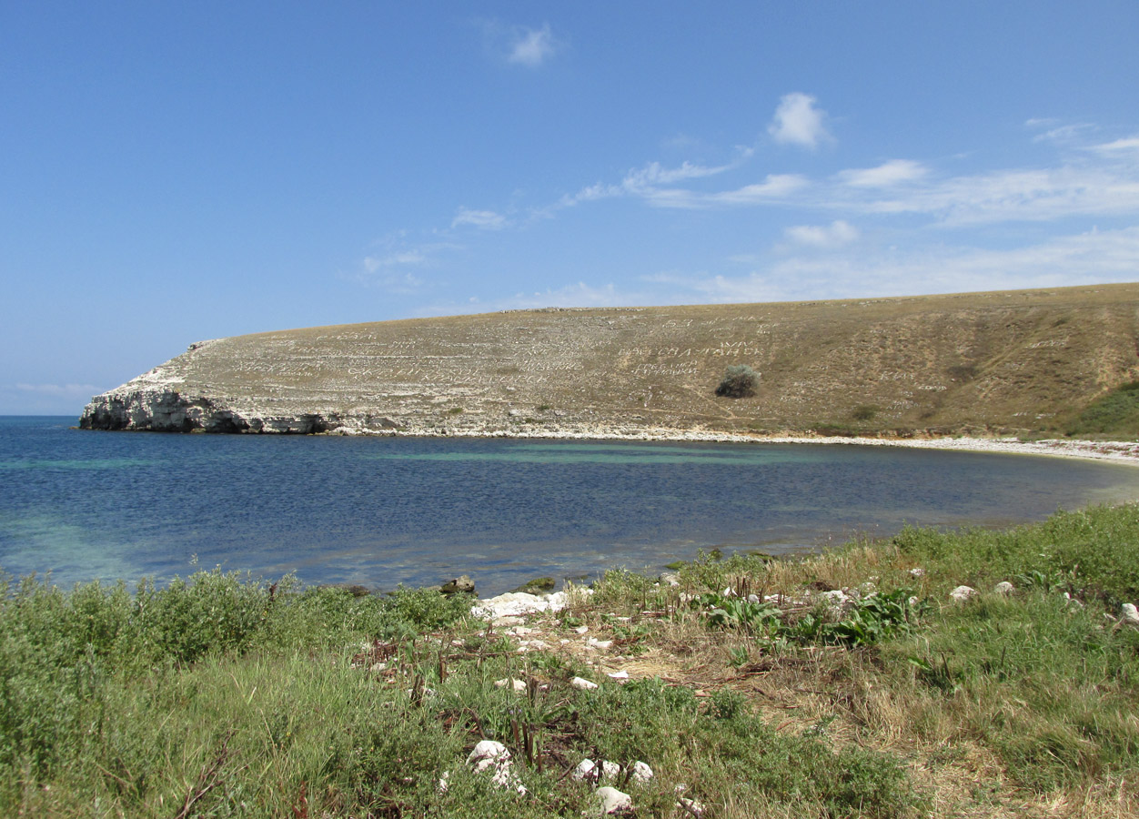 Большой Кастель, image of landscape/habitat.