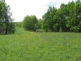 Село Ново-Зубово, image of landscape/habitat.