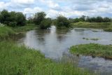 Окрестности Пудости, image of landscape/habitat.