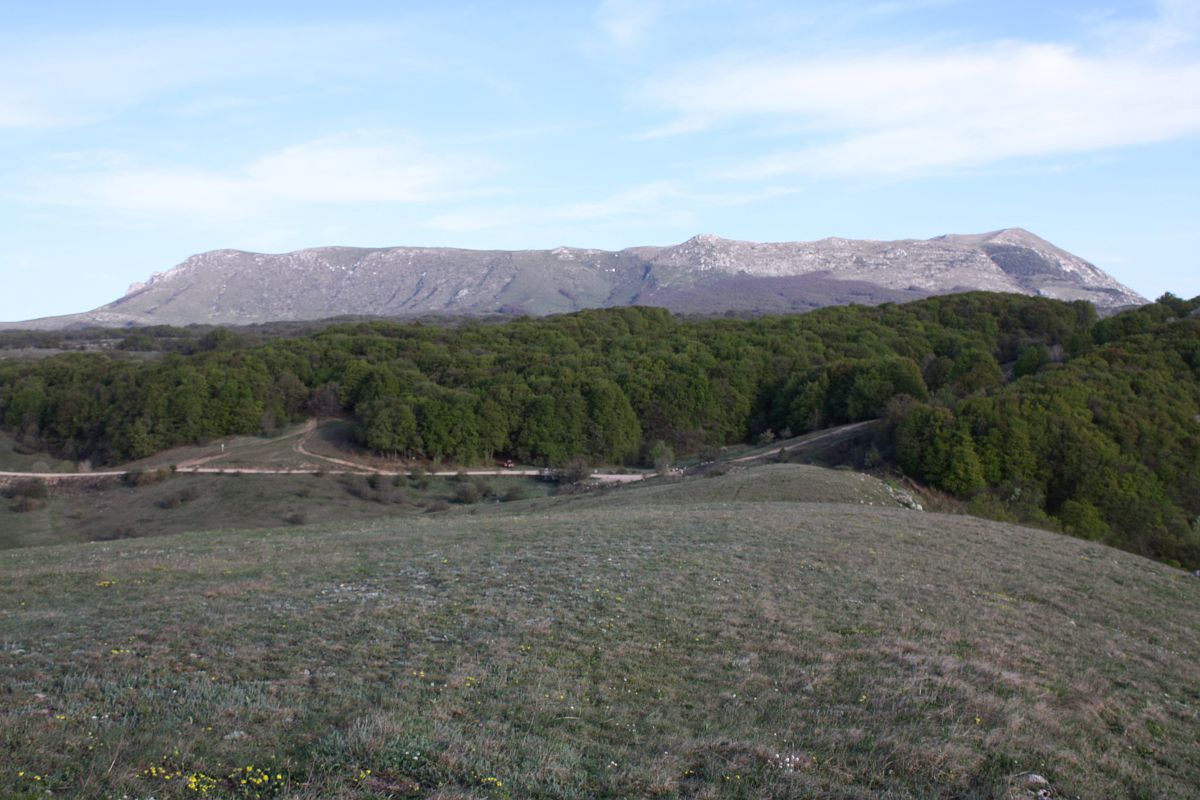 Нижнее плато Чатырдага, image of landscape/habitat.