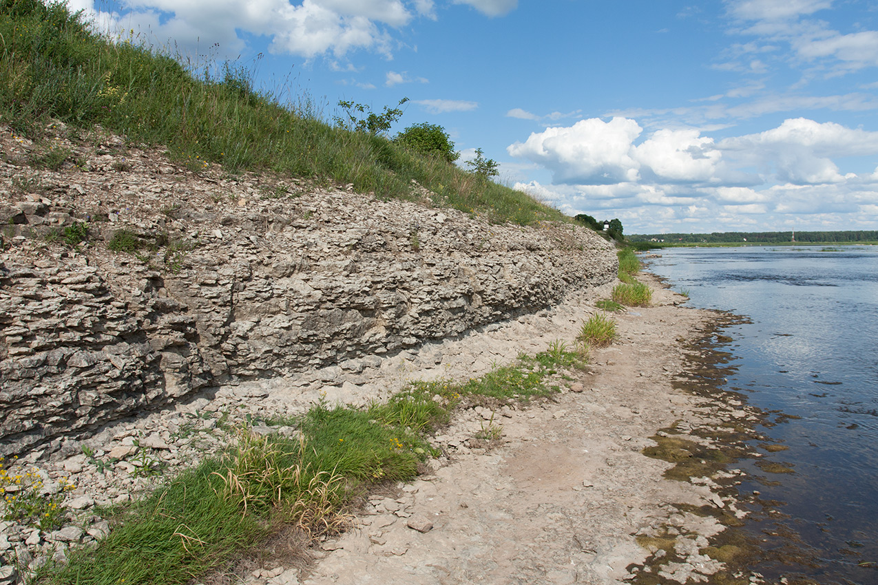 Выбуты, image of landscape/habitat.