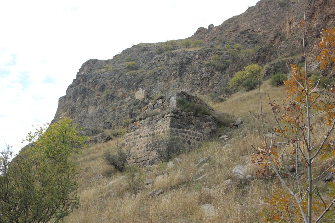 Окрестности крепости Тмогви, image of landscape/habitat.