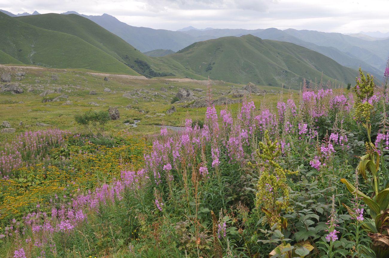 Долина реки Вулелаури, image of landscape/habitat.