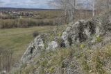 Спасская гора и её окрестности, image of landscape/habitat.