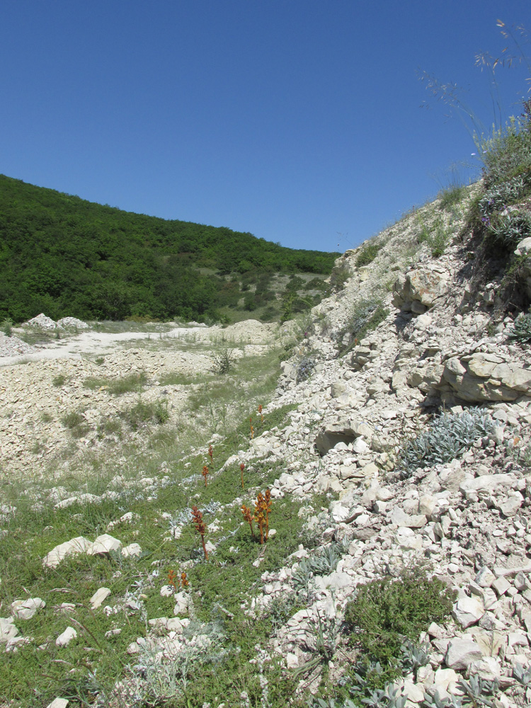 Окрестности села Губден, image of landscape/habitat.