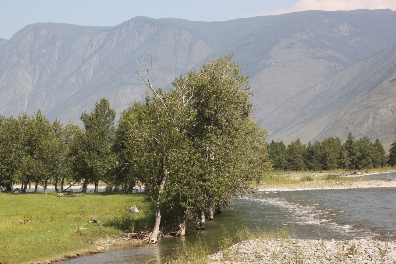 Окрестности урочища Пука, image of landscape/habitat.