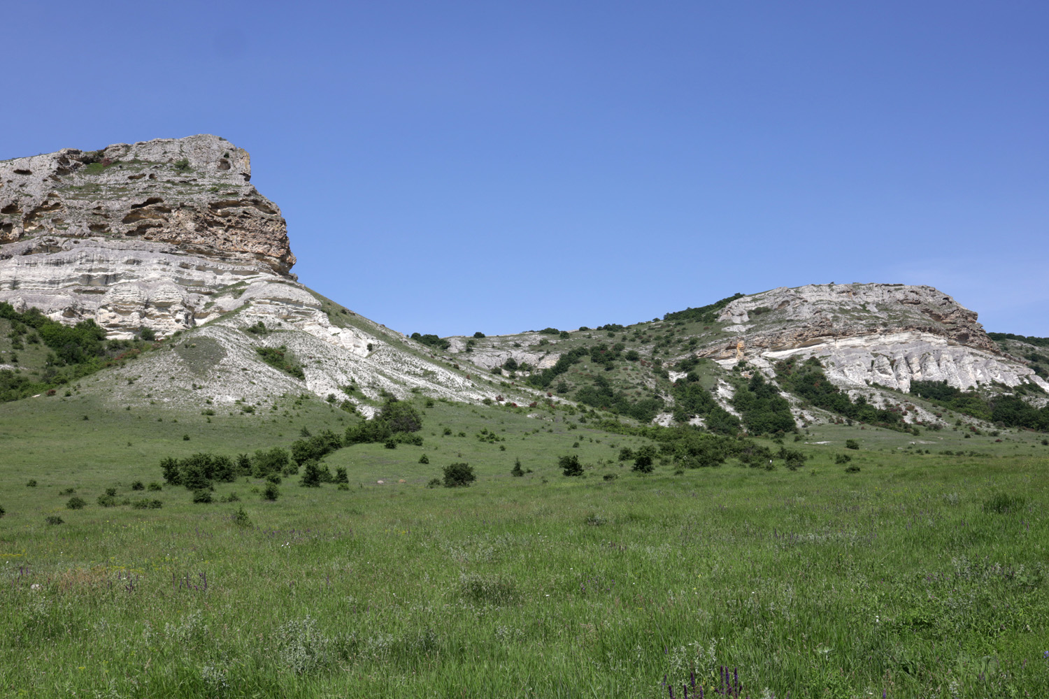 Окрестности села Мичуринское, image of landscape/habitat.
