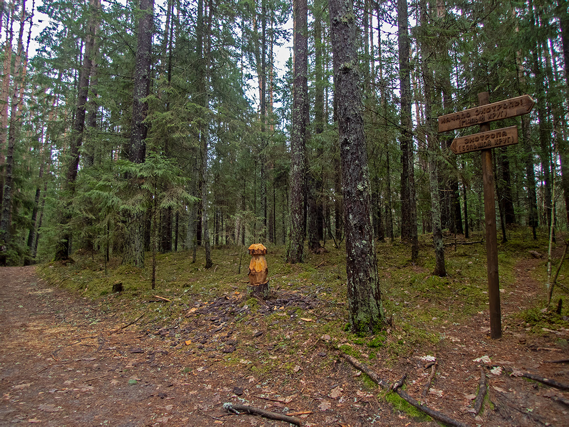 Заказник "Голубые озёра", image of landscape/habitat.
