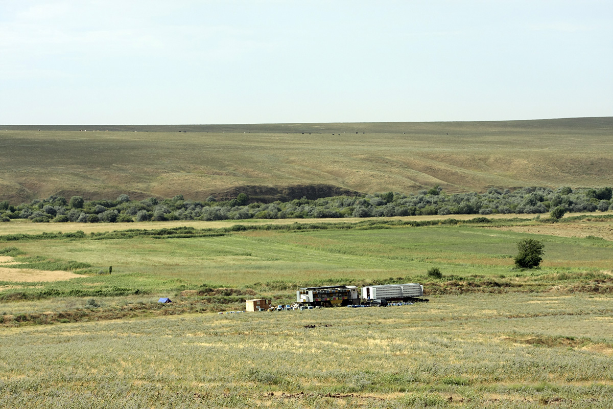 Нижний Боролдай, image of landscape/habitat.