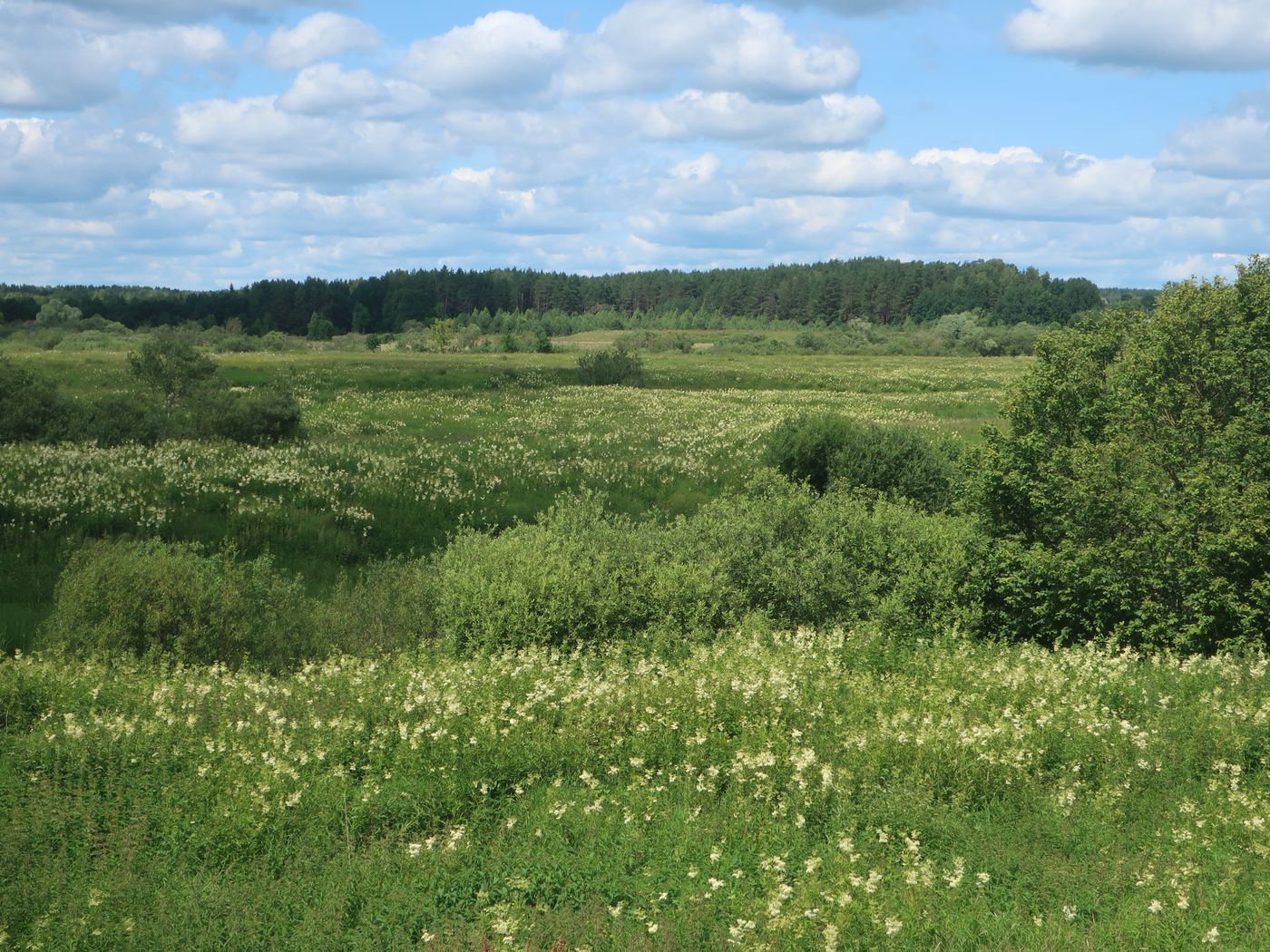 Дуденёвский заказник и р. Тьма, image of landscape/habitat.