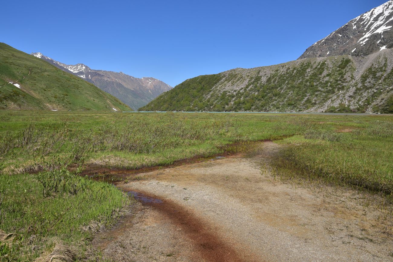 Окрестности озера Донгуз-Орун, изображение ландшафта.